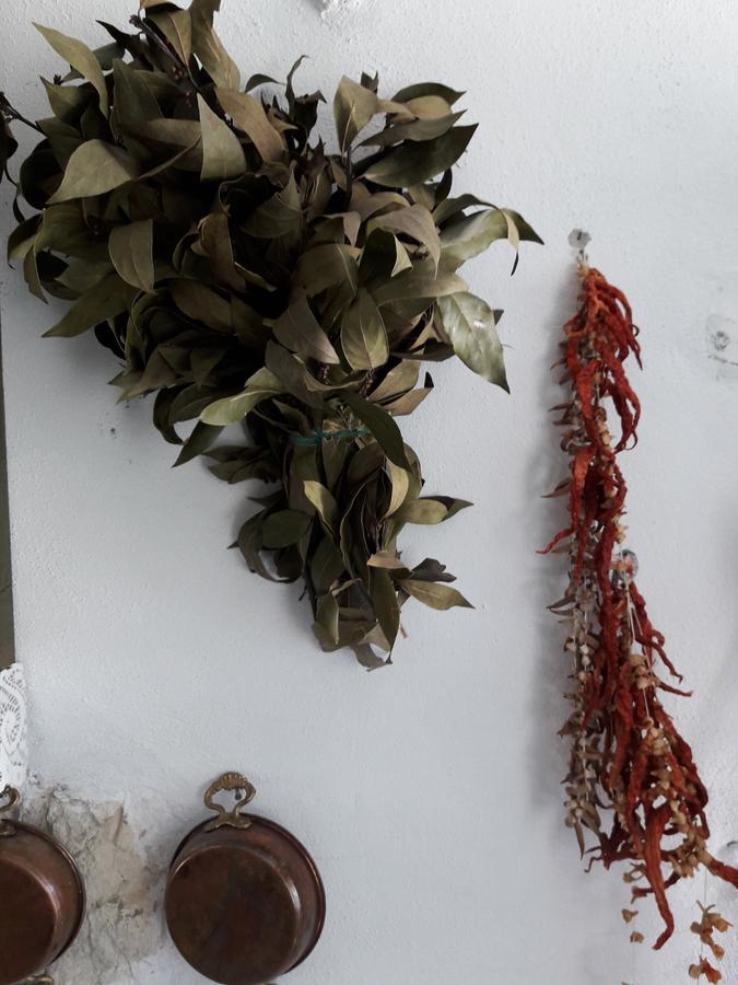 Hobbithousebademler Bed and Breakfast Urla Exterior foto